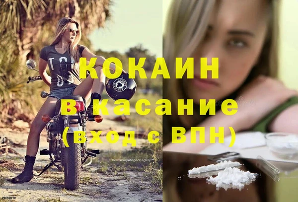 стаф Алзамай