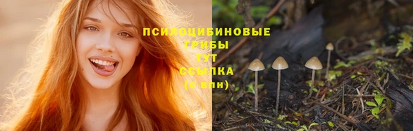 мескалин Абинск