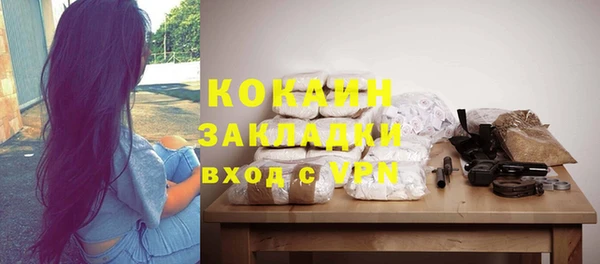 кокс Алексин