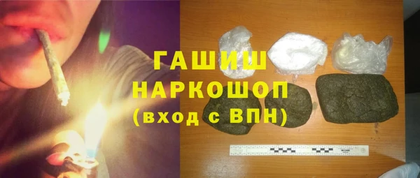 стаф Алзамай