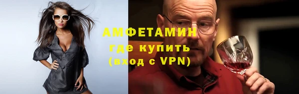 стаф Алзамай