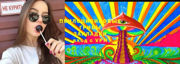стаф Алзамай
