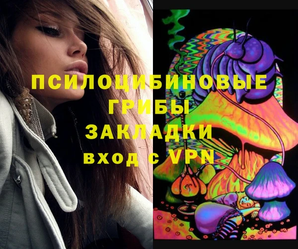 стаф Алзамай