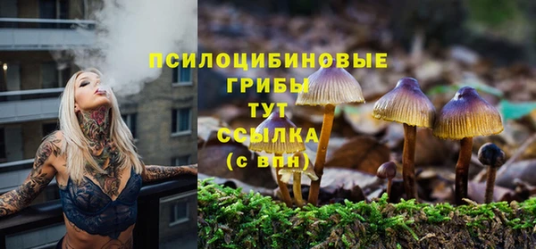кокс Алексин