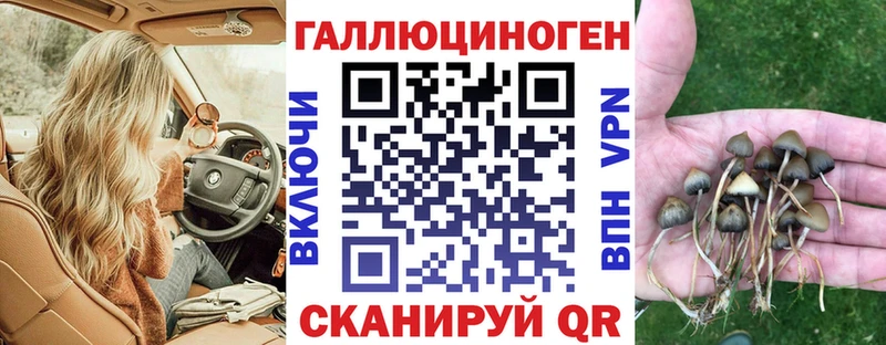 Галлюциногенные грибы Psilocybine cubensis  Ирбит 