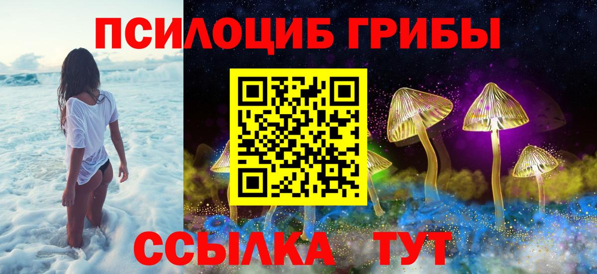 Псилоцибиновые грибы Psilocybine cubensis Ирбит