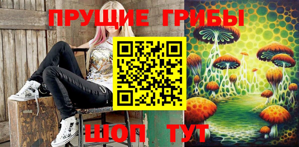 Ирбит  Псилоцибиновые грибы Psilocybe  Вход с VPN 